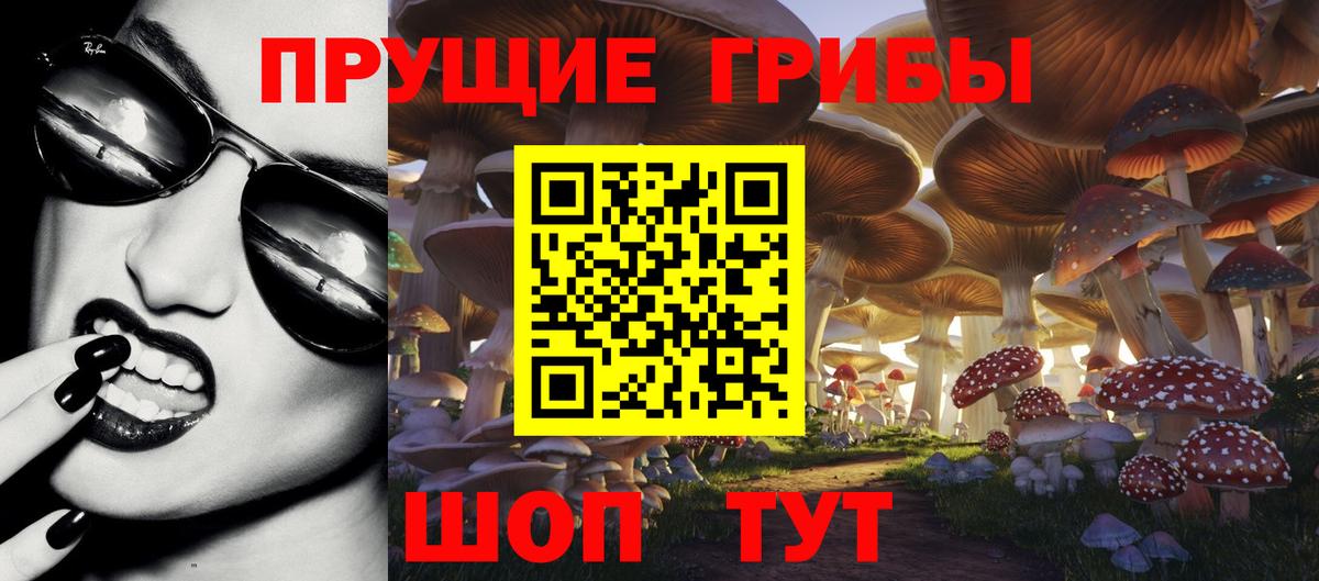 наркотики  Вход с VPN  Ачинск  Псилоцибиновые грибы GOLDEN TEACHER 